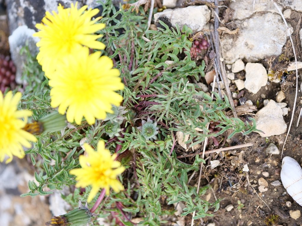 P1066983.JPG