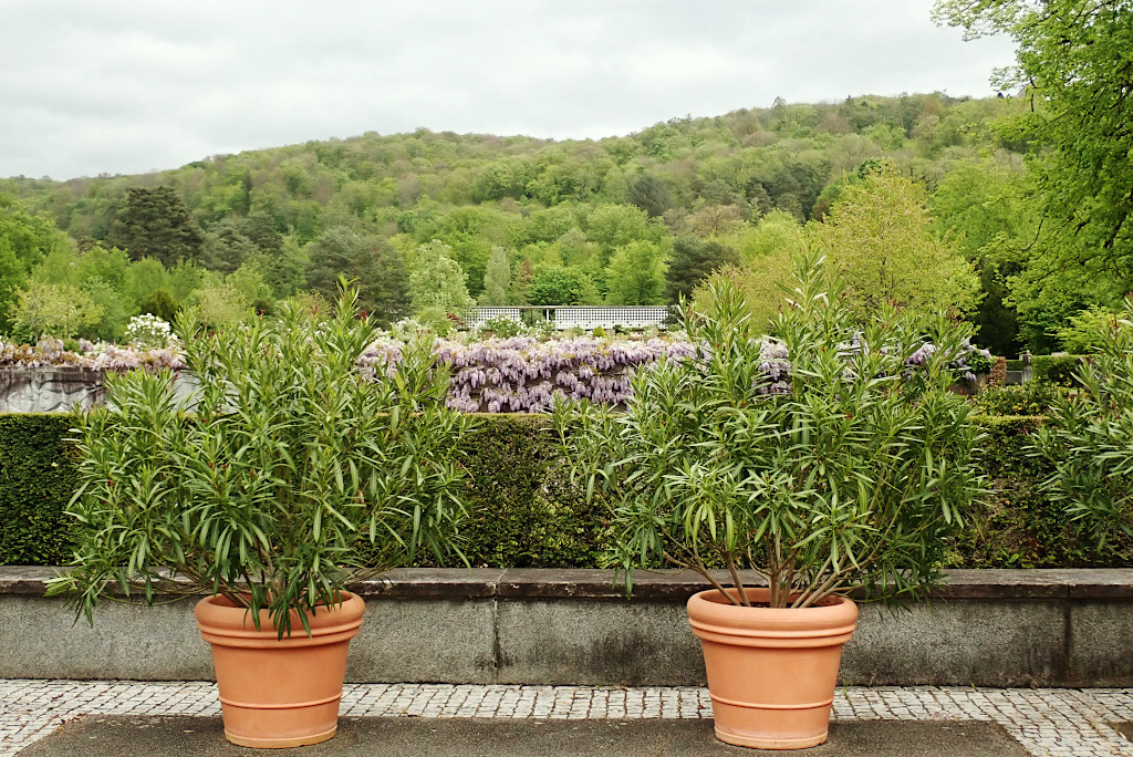 Friedhof am Hörnli-a.jpg