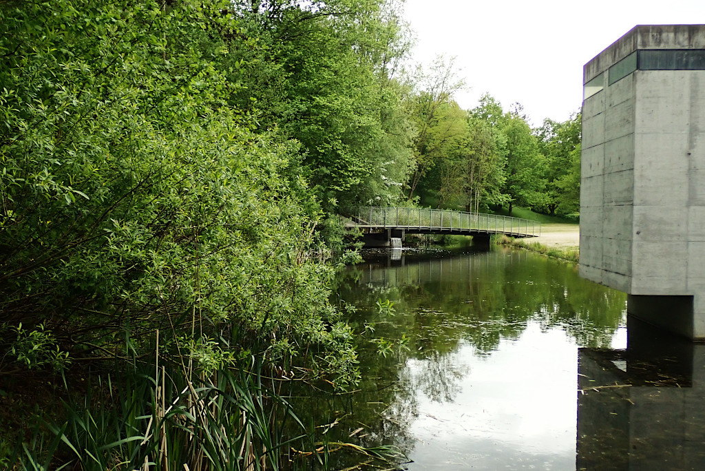 Friedhof am Hörnli-b.jpg