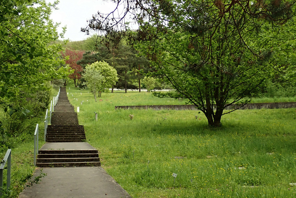 Friedhof am Hörnli-d.jpg