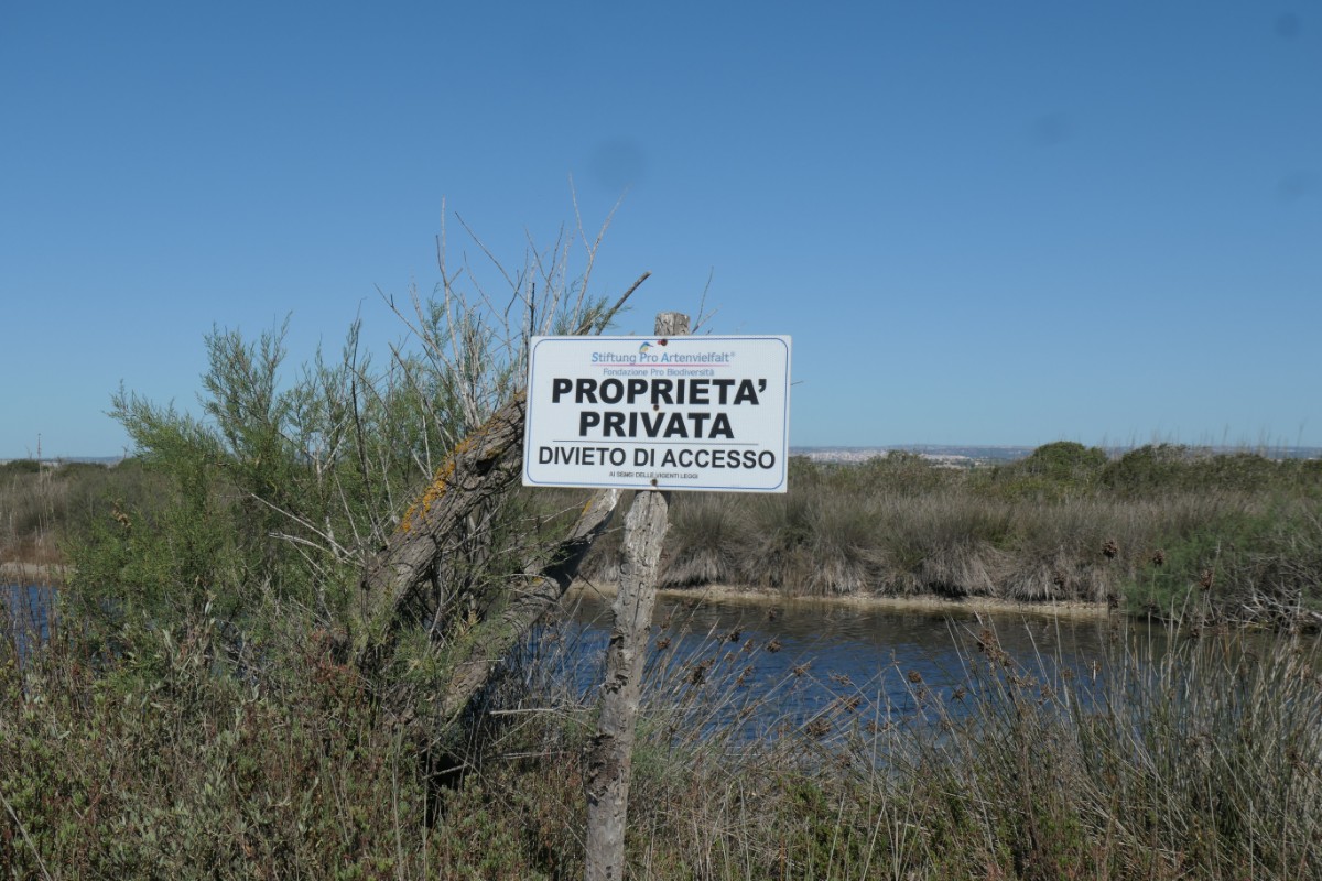 Pantano Longarini