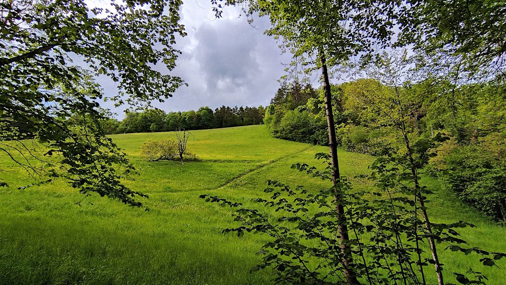 Grenze mitten in der Wiese - Inzlingen (D) - Bettingen (CH).jpg