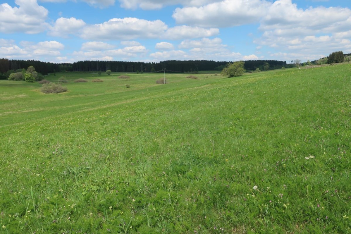 Die Teuschnitz-Aue auf knapp 650 Metern Höhe in MTB 5534-34