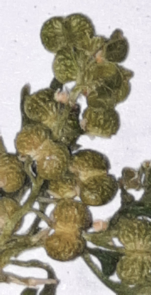 20220818_230001.jpg