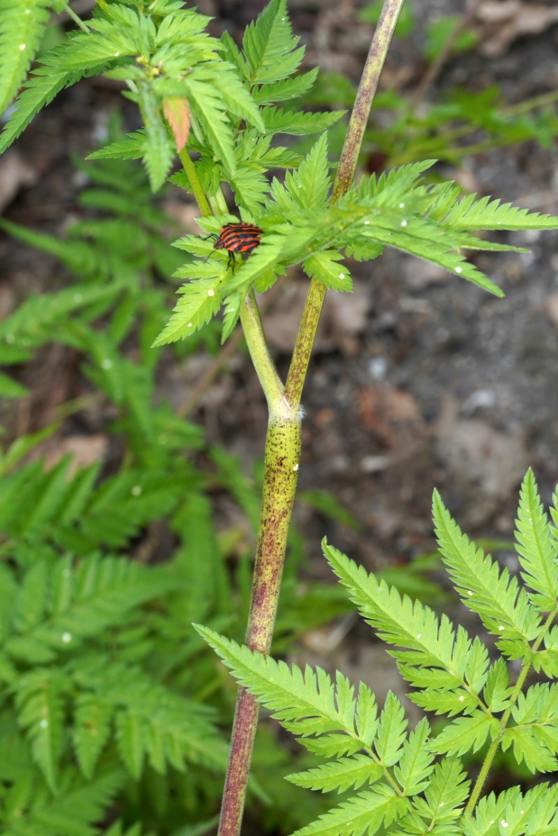 24A05402a.jpg