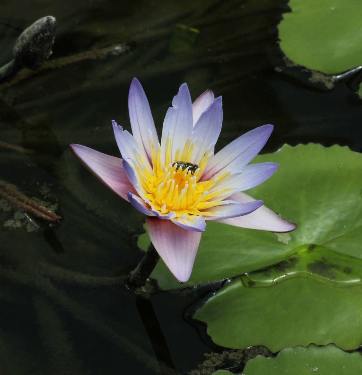 IMG_7567.JPG