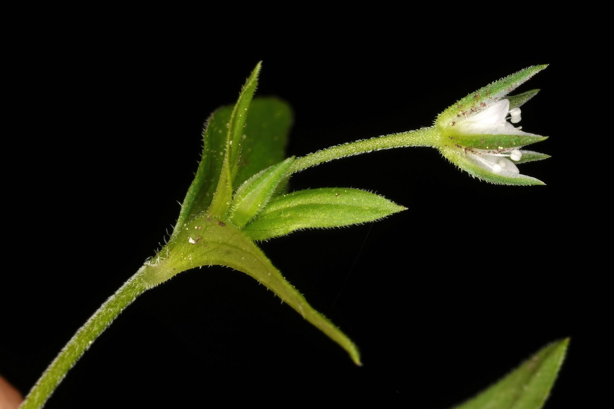 24A03927.JPG