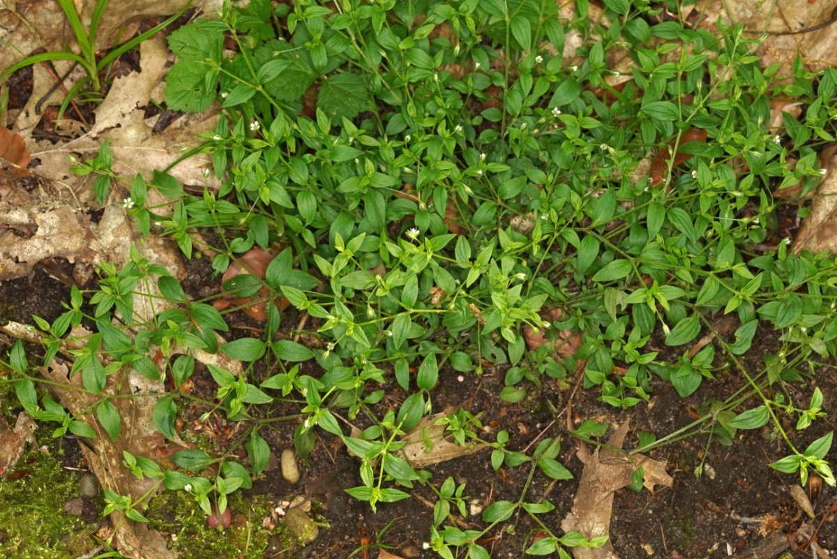 24A03913.JPG