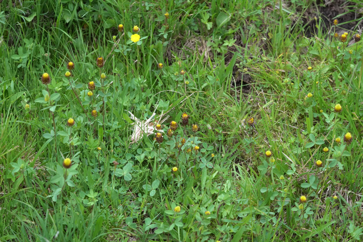DSC09078.JPG