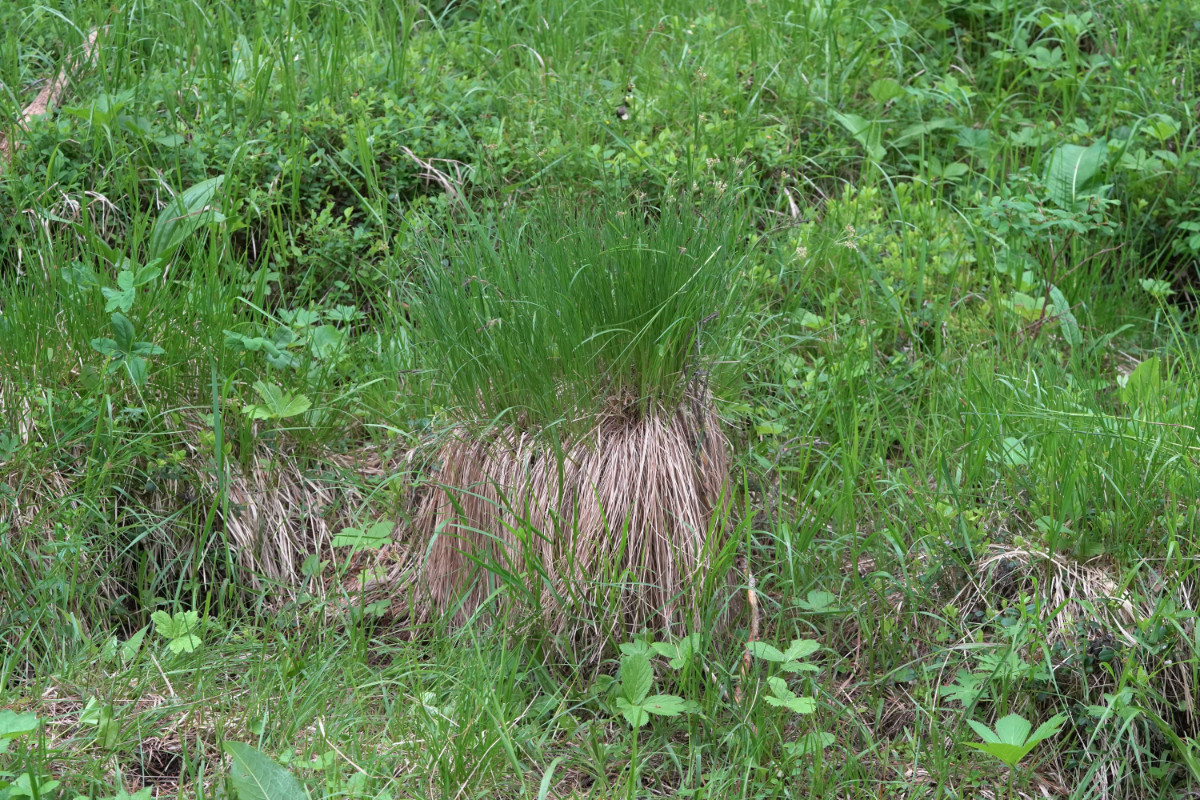 DSC09058.JPG