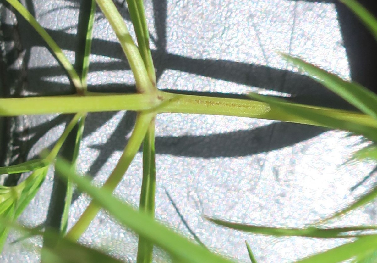IMG_0278_Detail.jpg