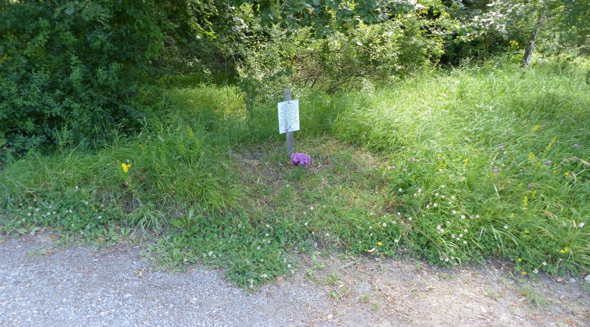 Habitat.jpg