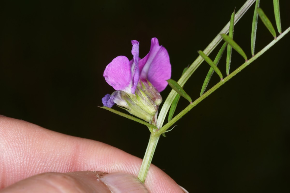 24A04943.JPG