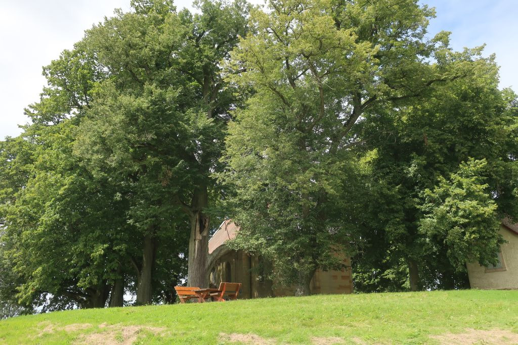 Der Veitsberg heißt eigentlich Ansberg, aber so sagt niemand vor Ort. Der Lindenring rings um die barocke Veitskapelle ist ein Naturdenkmal.