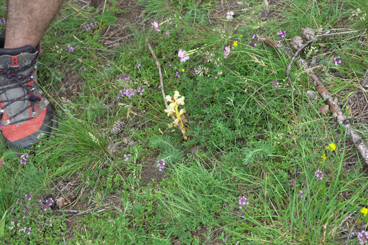 ADSC09541.JPG