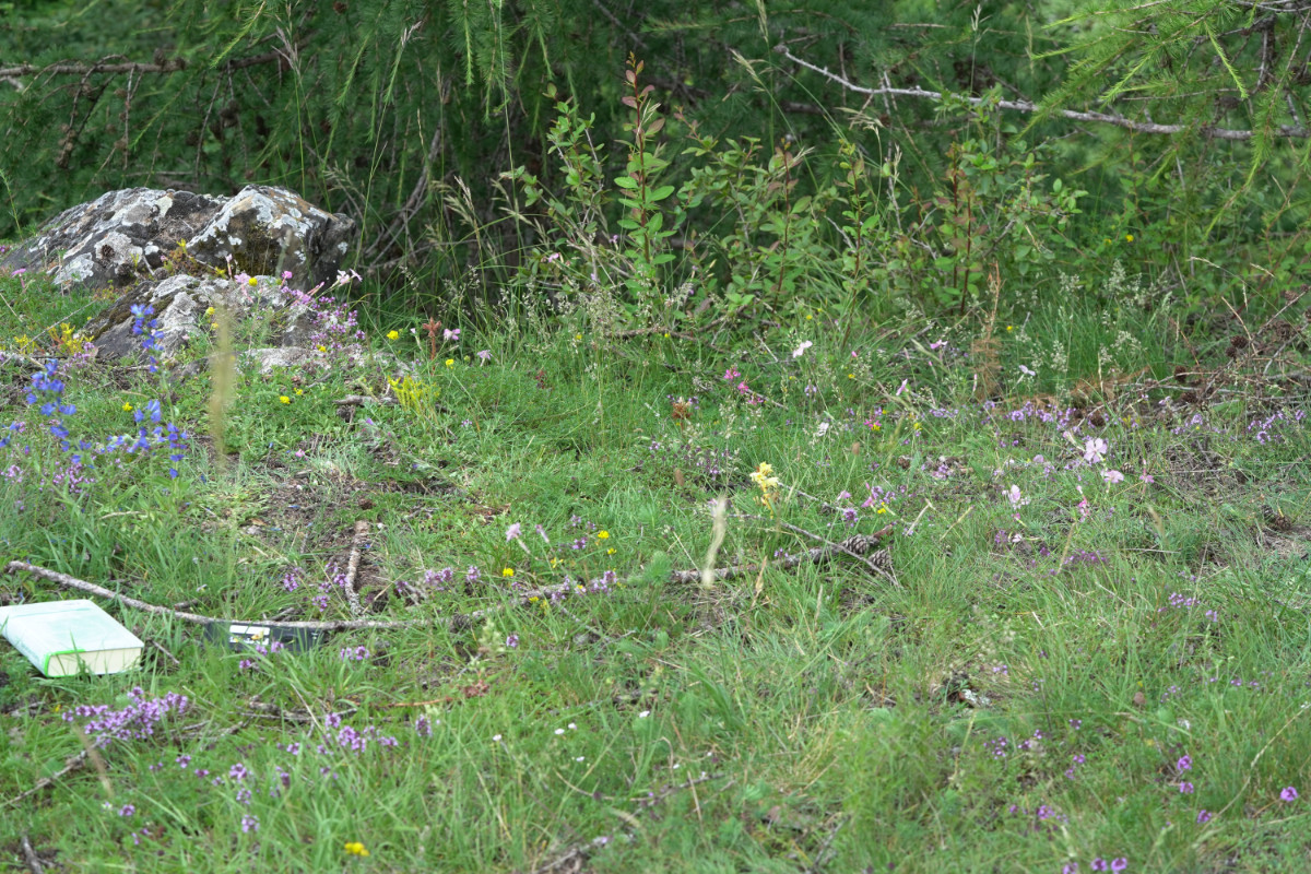 ADSC09563.JPG