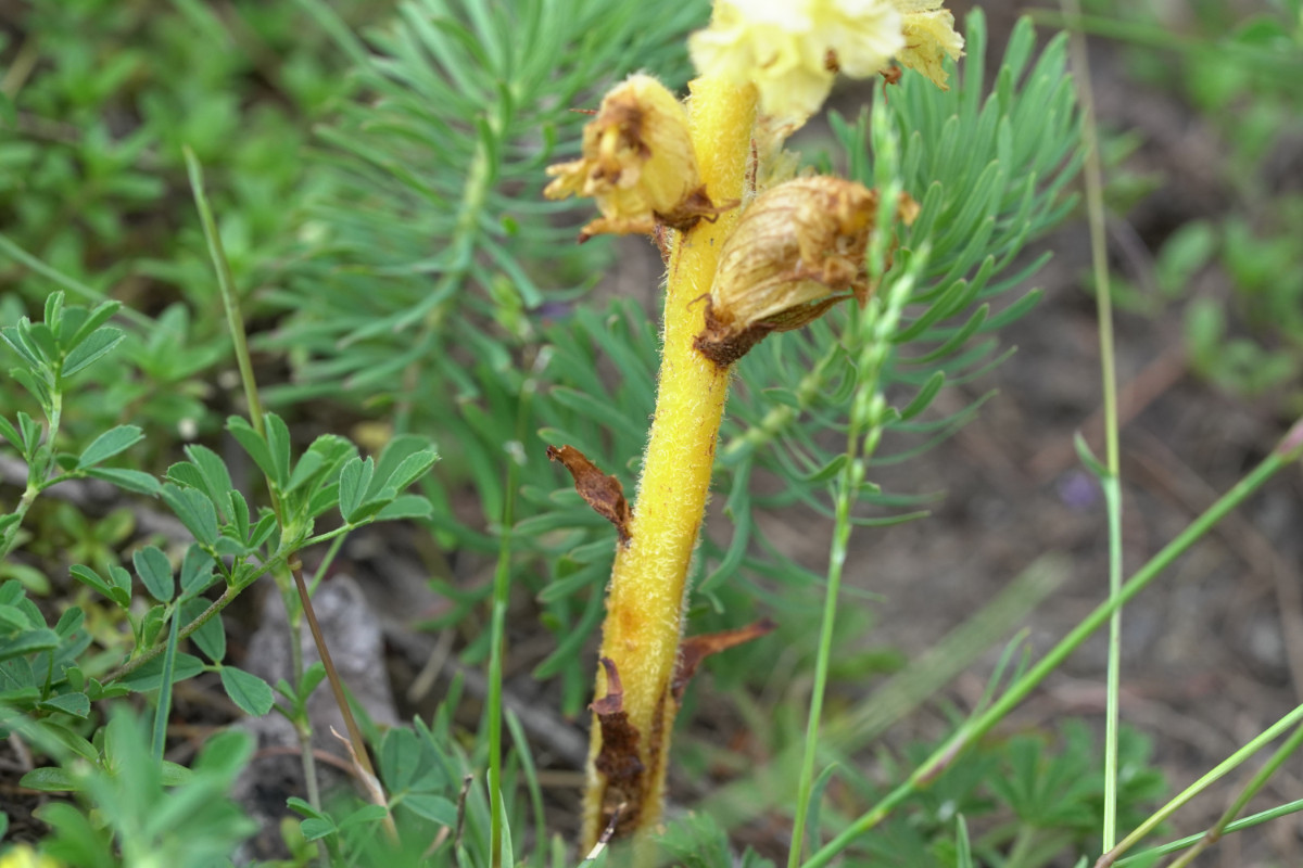DSC09557.JPG
