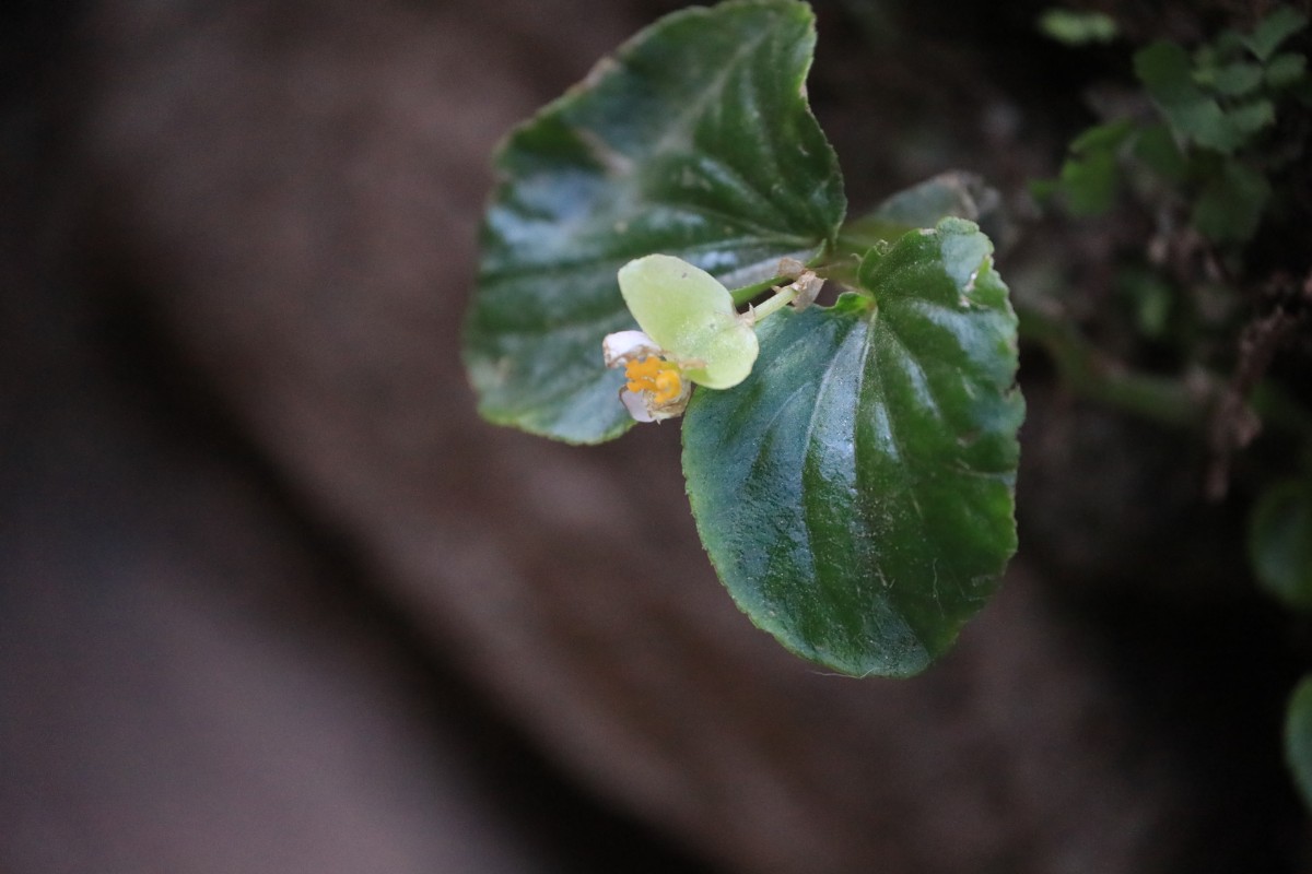 4Q4A0295.JPG