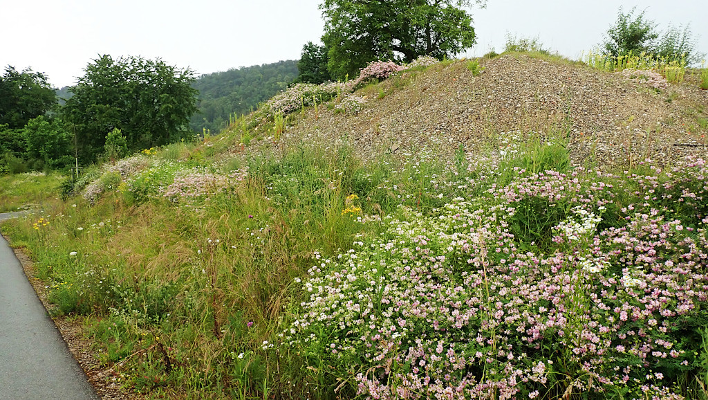 Übersicht_17-06-2024.jpg