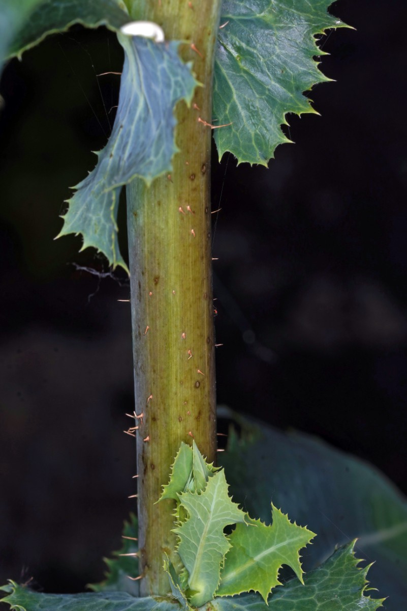 24A05373.JPG