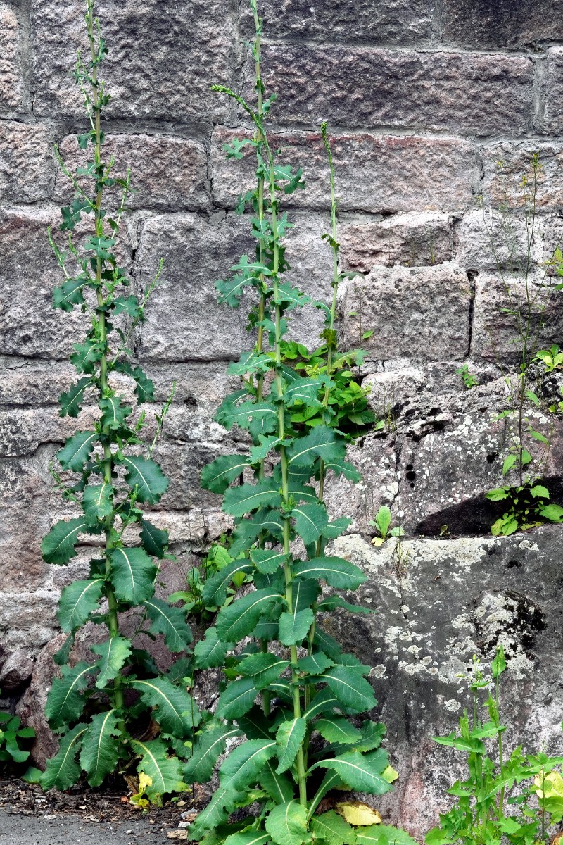24A05354a.jpg