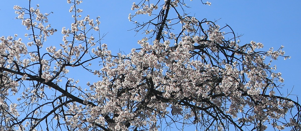 303A7026A.jpg
