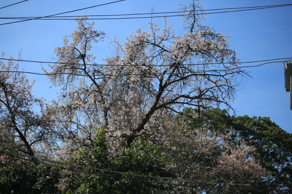 303A7026.JPG
