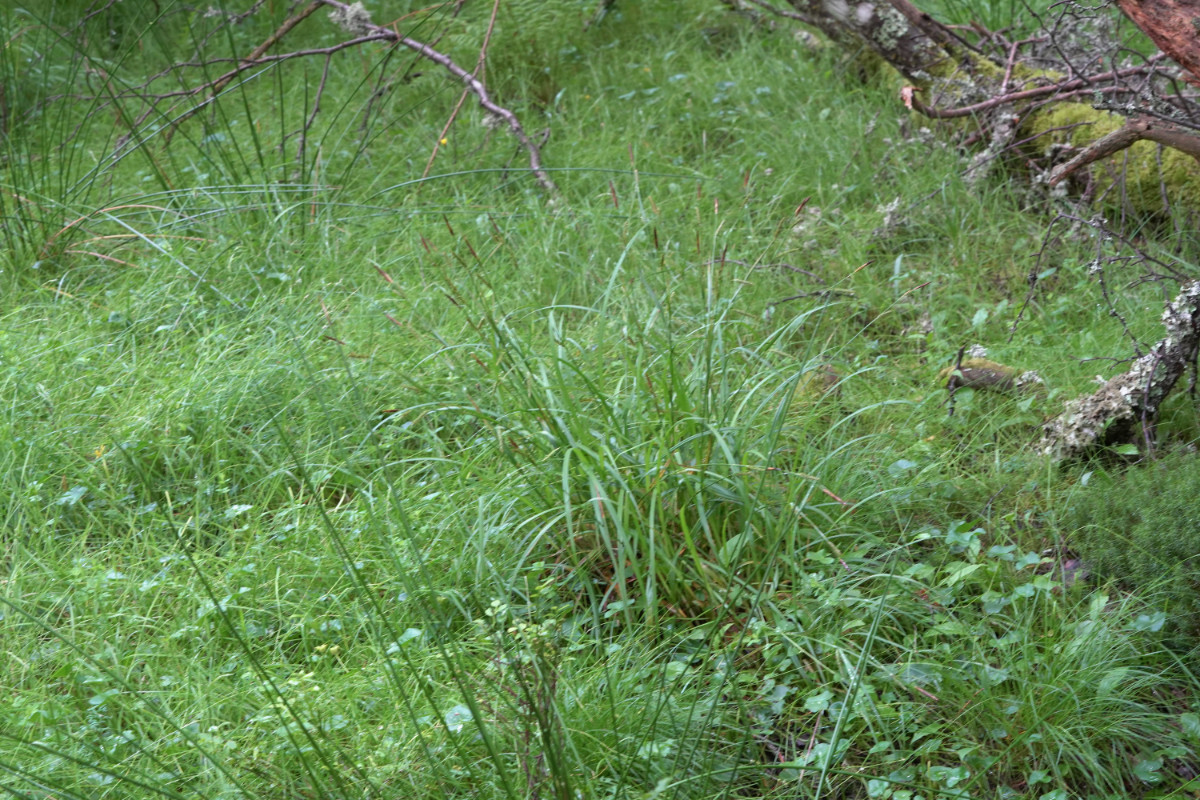 DSC01592.JPG