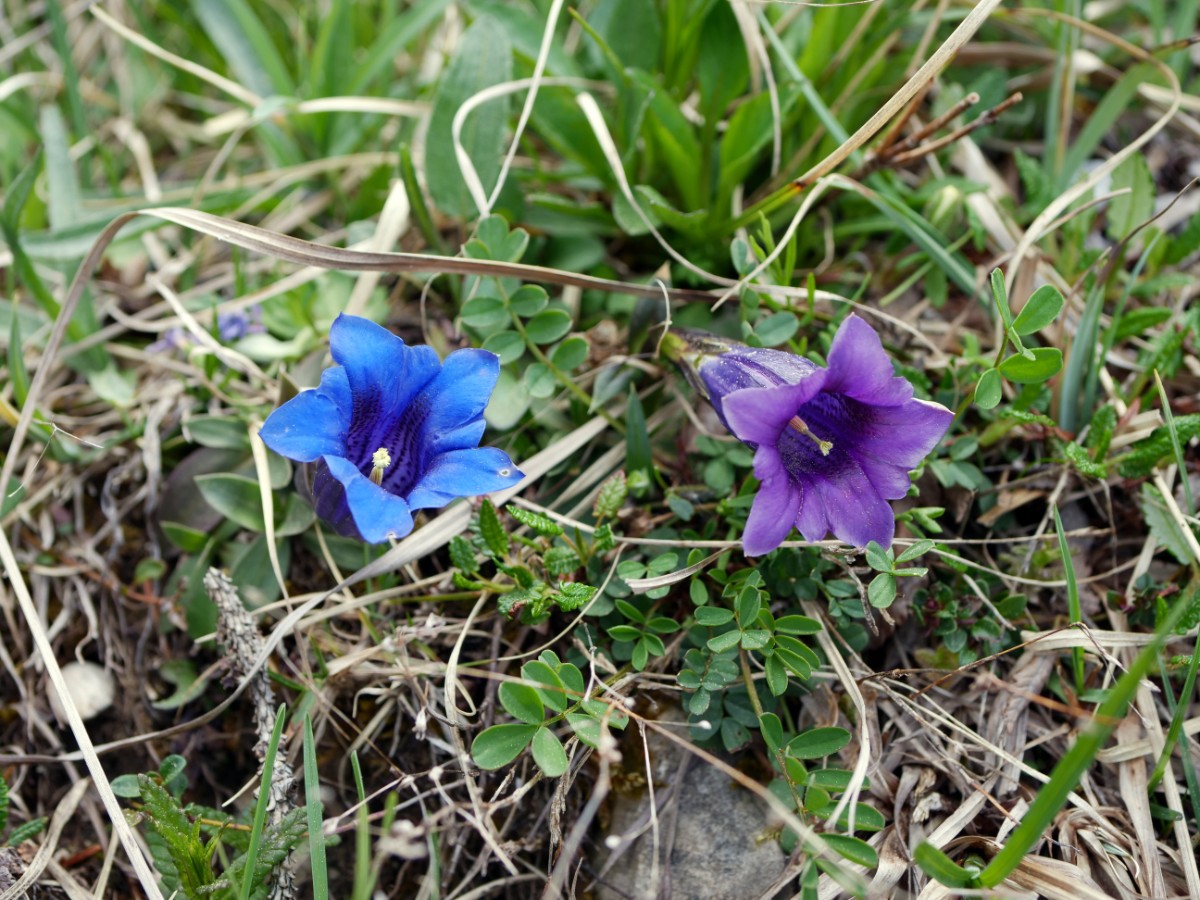 P1014376.JPG
