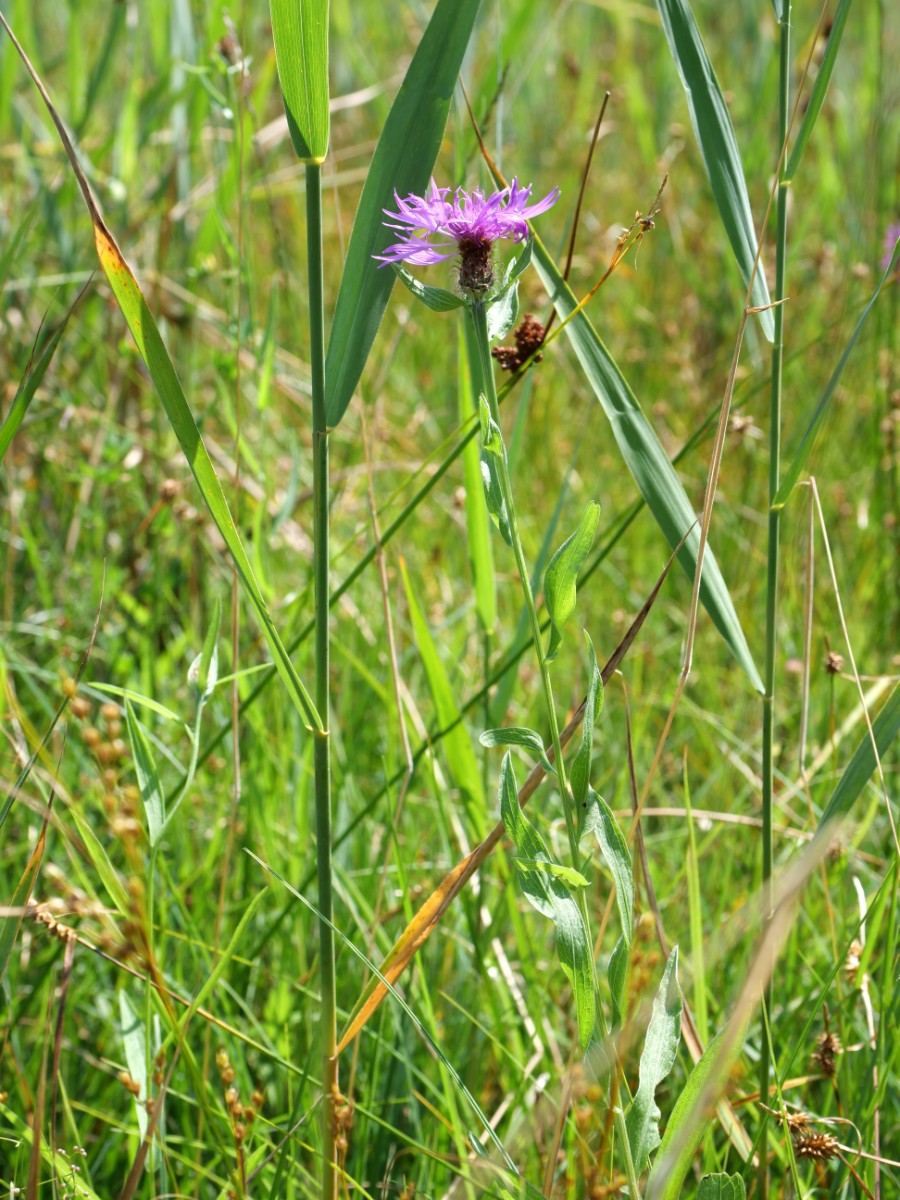 P1068933.JPG