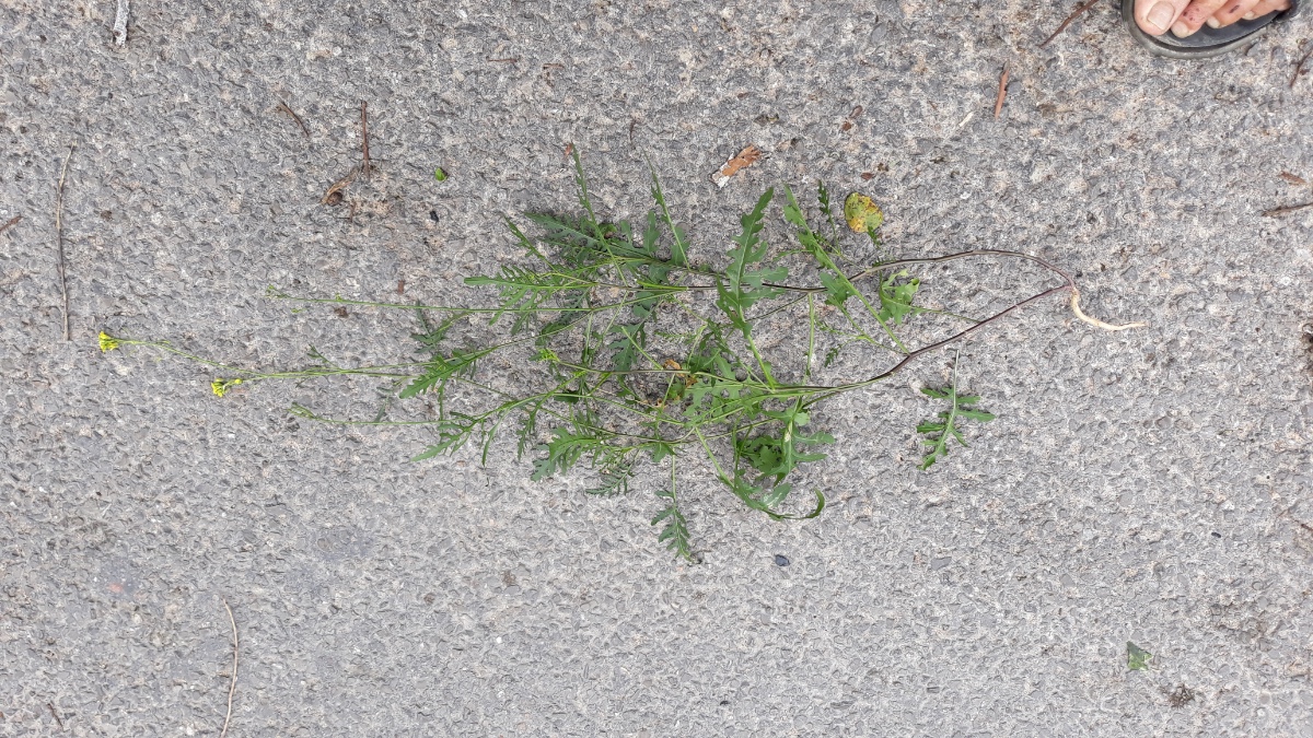 20181015_121033.jpg
