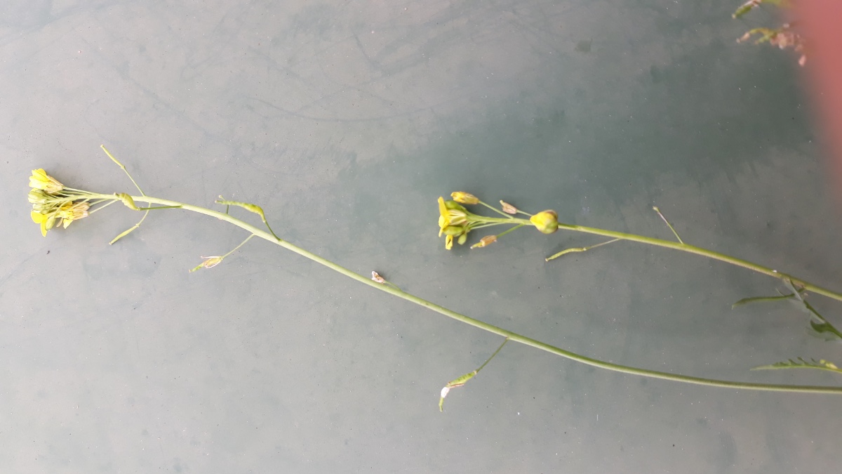 20181015_121444.jpg