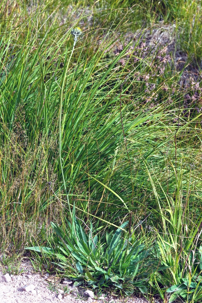 677-23A01239a.jpg