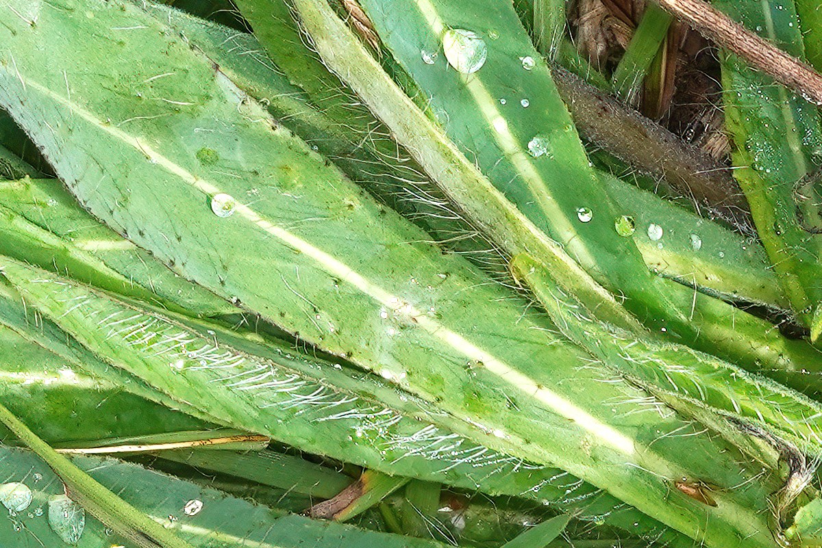 677-23A01236b.jpg