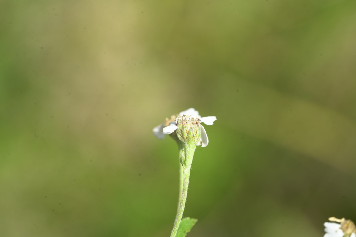 DSC05515.JPG