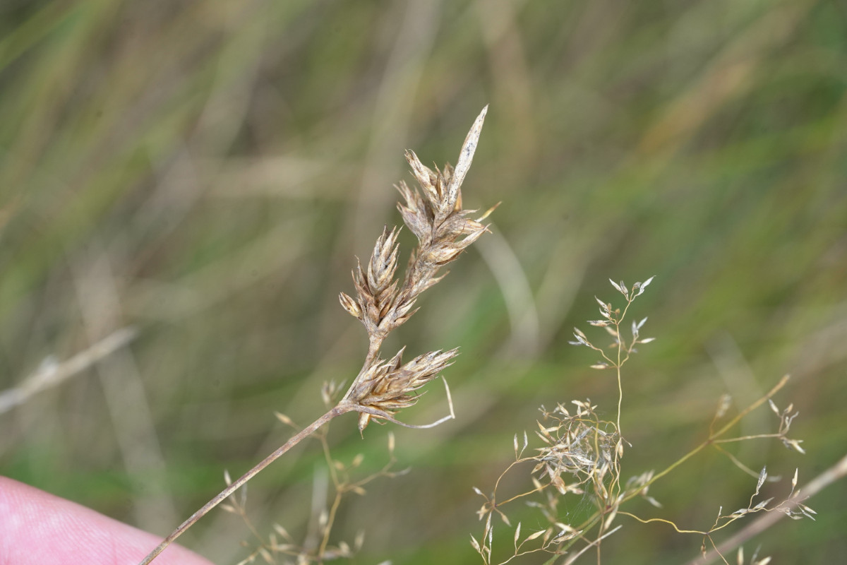 DSC05052.JPG