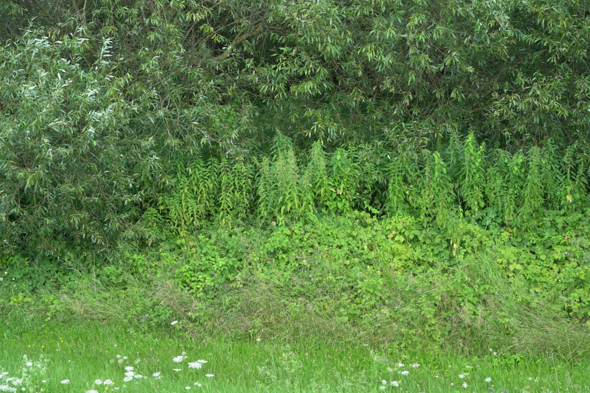 DSC04309.JPG
