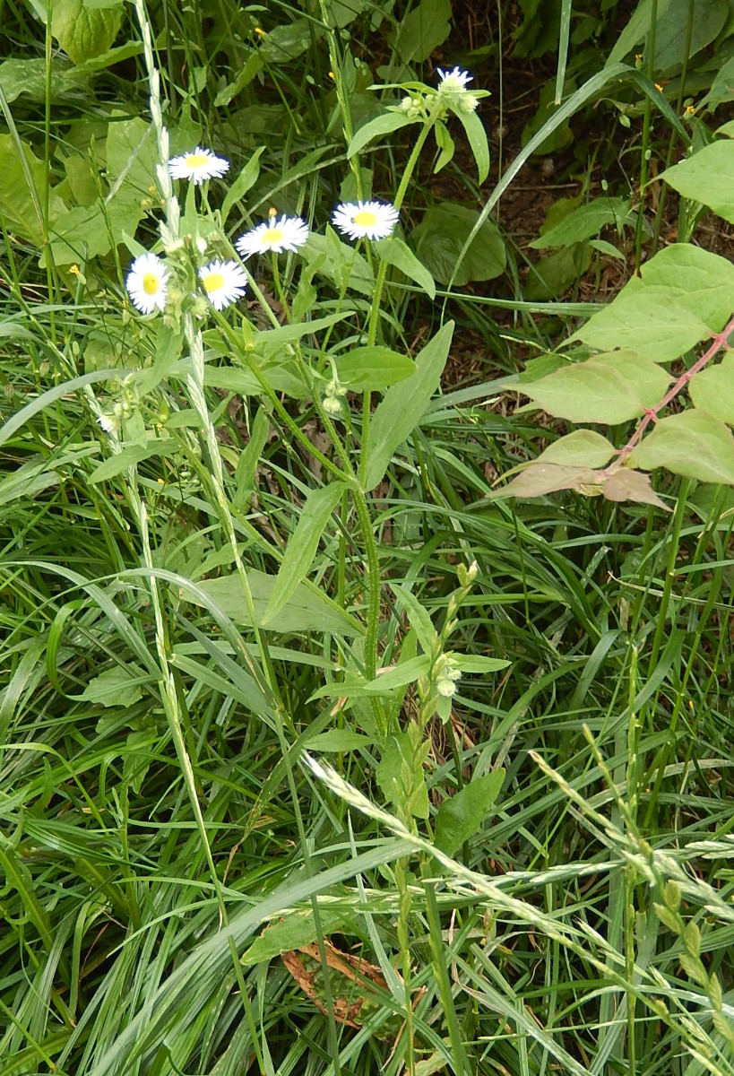 DSCN5725.JPG