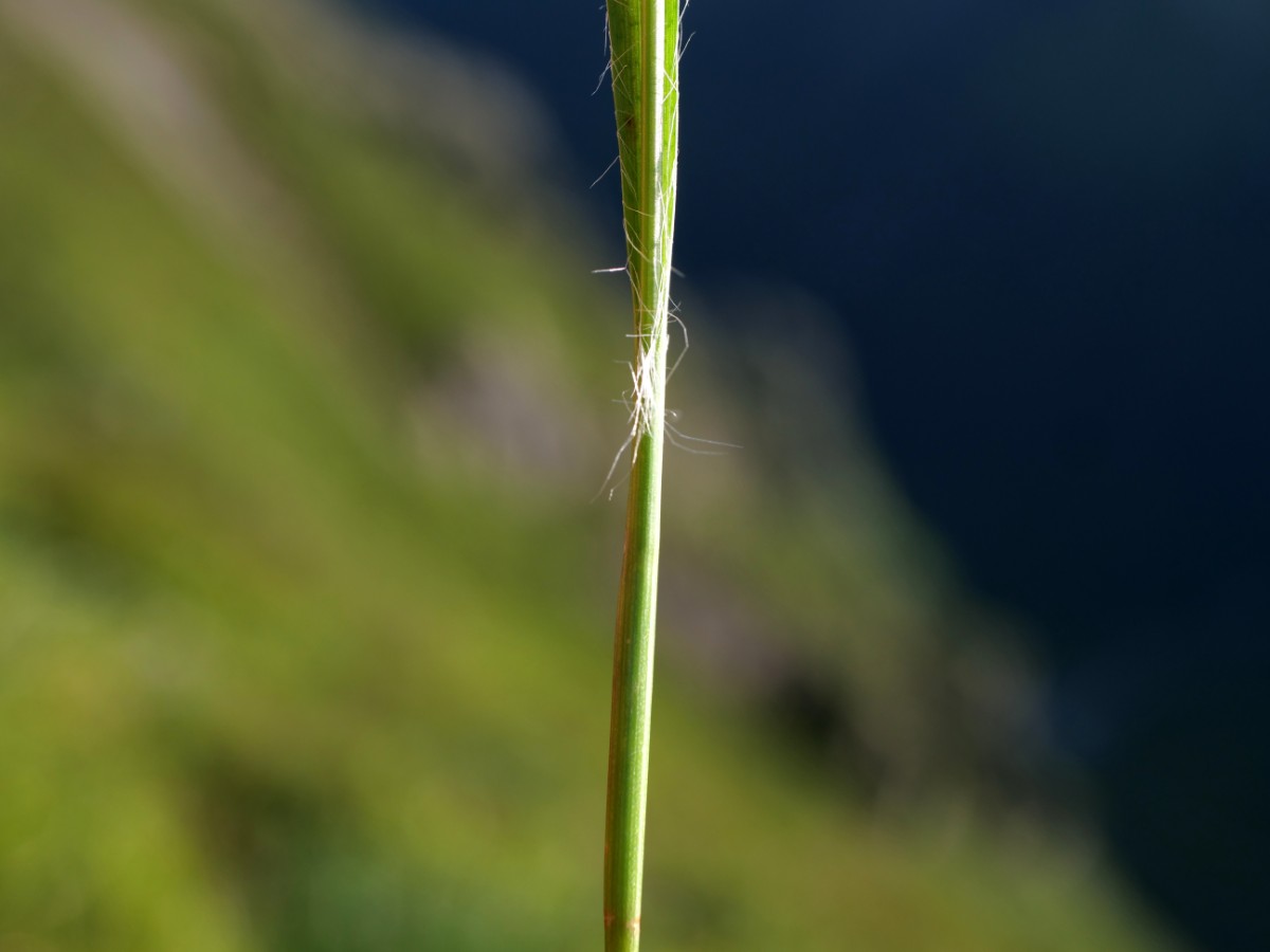 P1069235.JPG