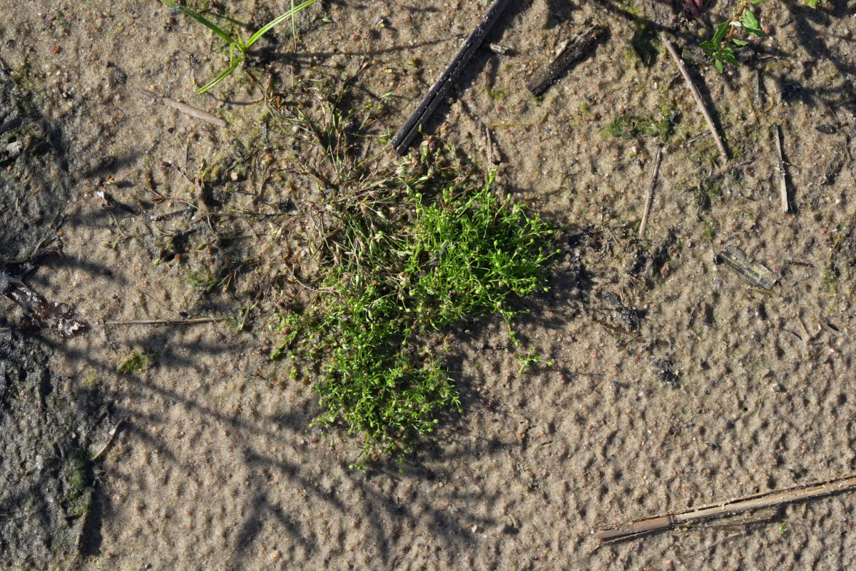 DSC06427.JPG