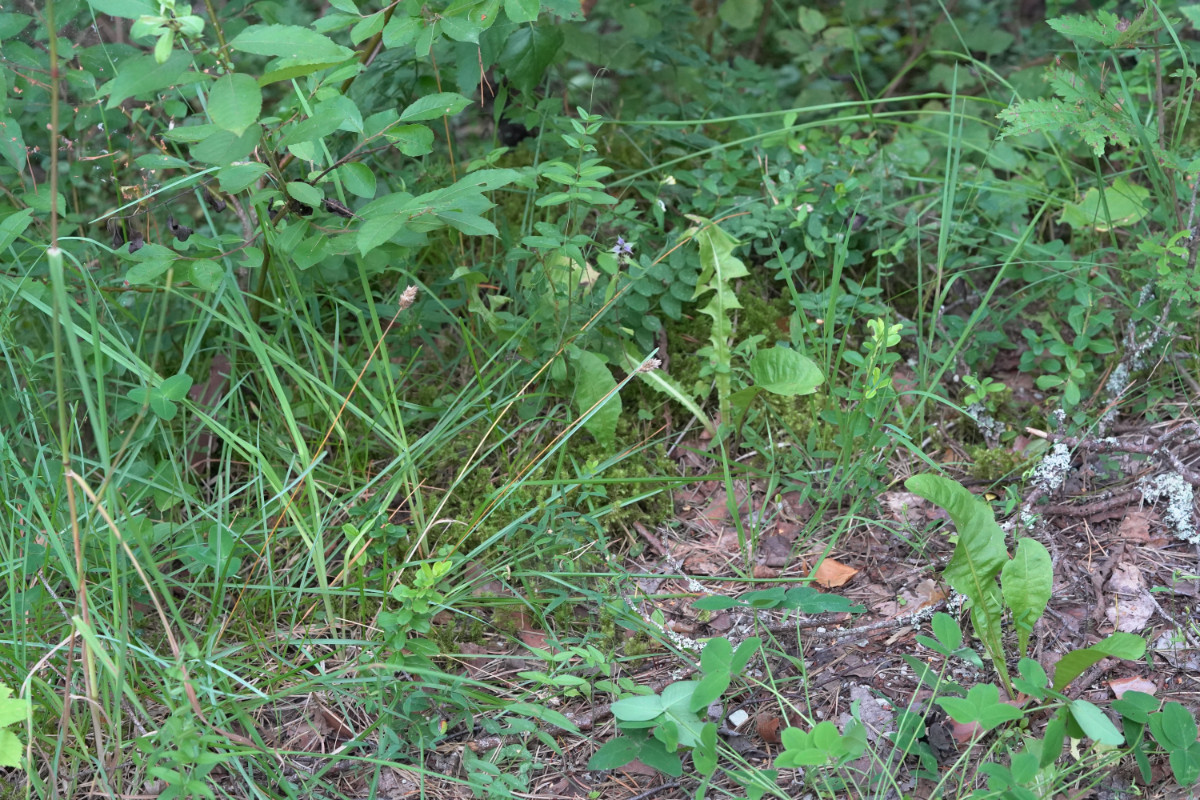 DSC05705.JPG