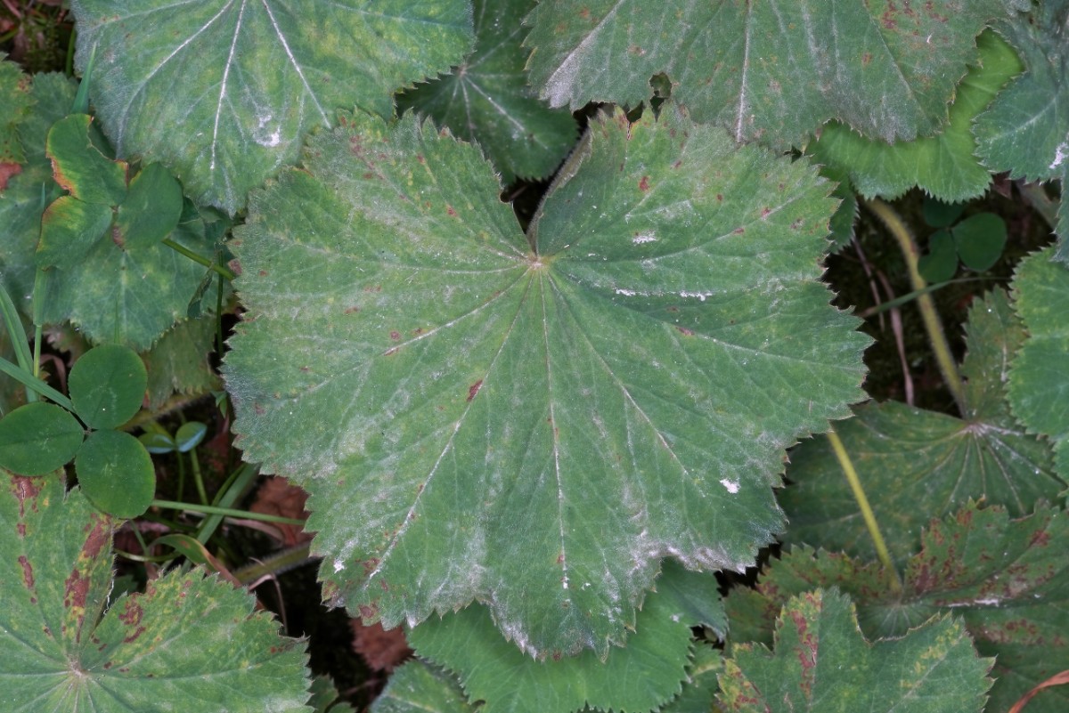 24A07304.JPG
