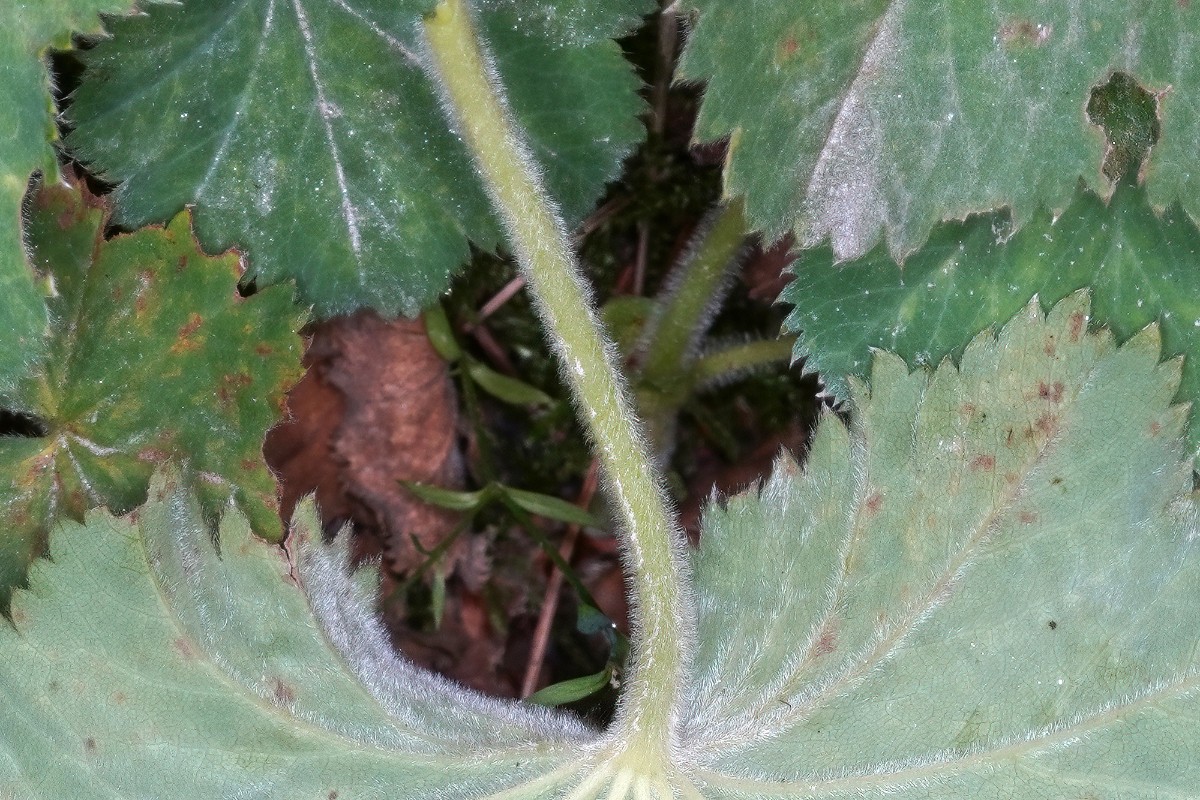 24A07305a.jpg