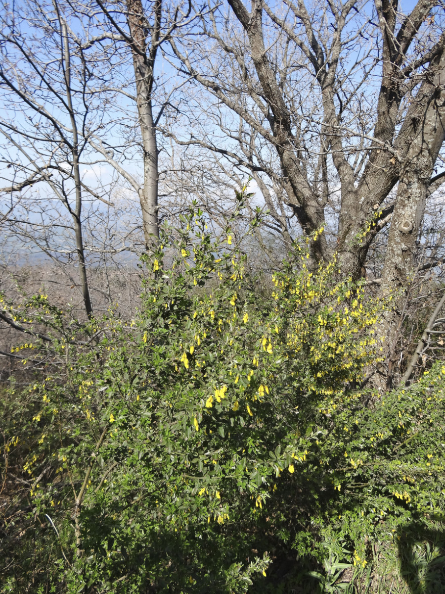 DSC09635.jpg