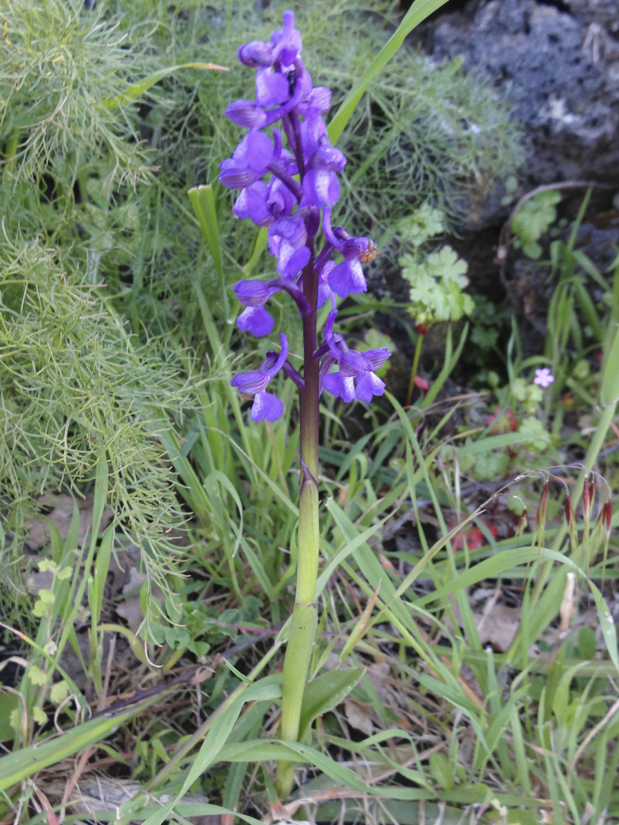DSC09657.jpg