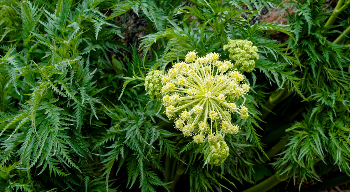 A7308883a_DxO7_HDR.jpg