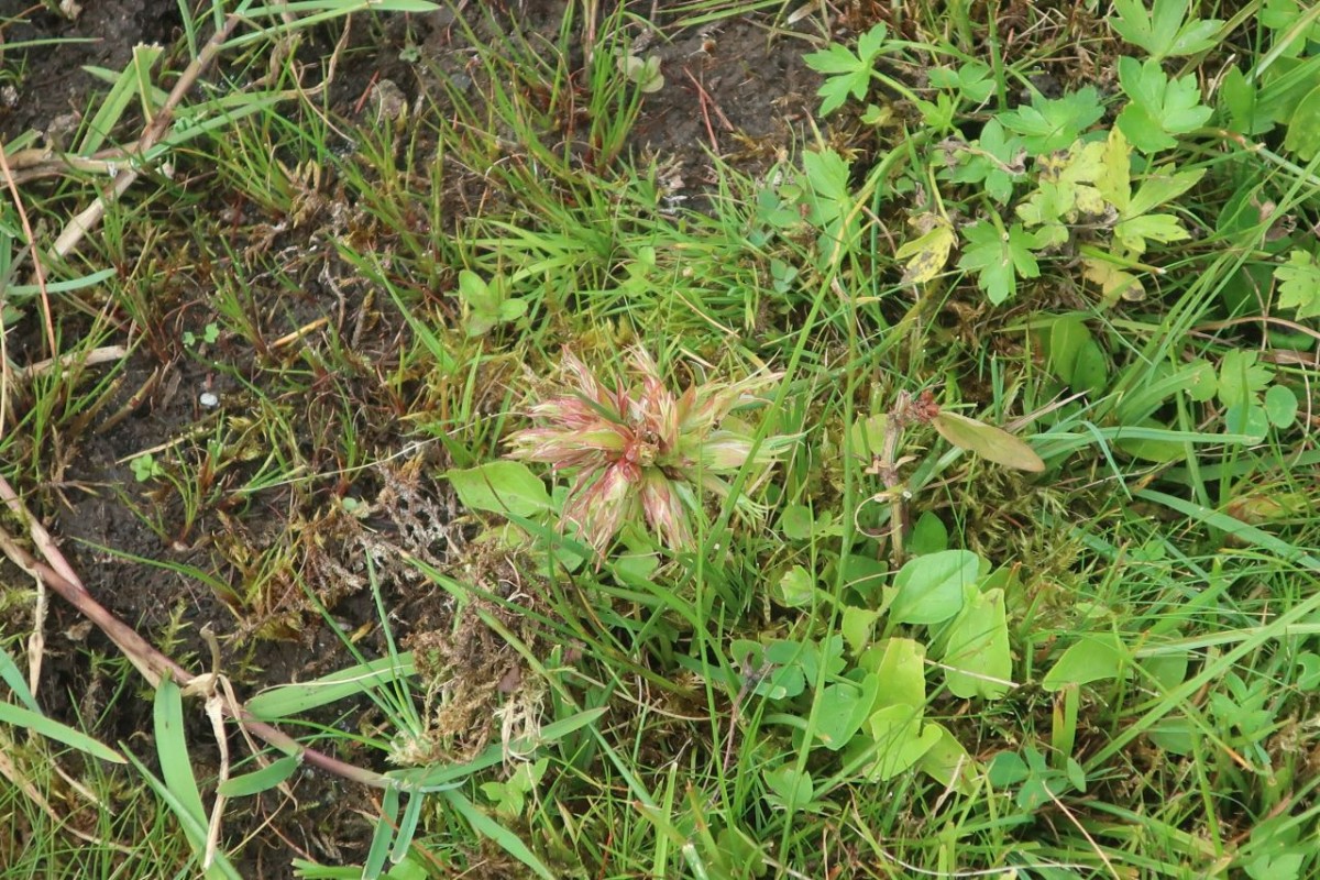 Salten_2024-09-03_1.jpg