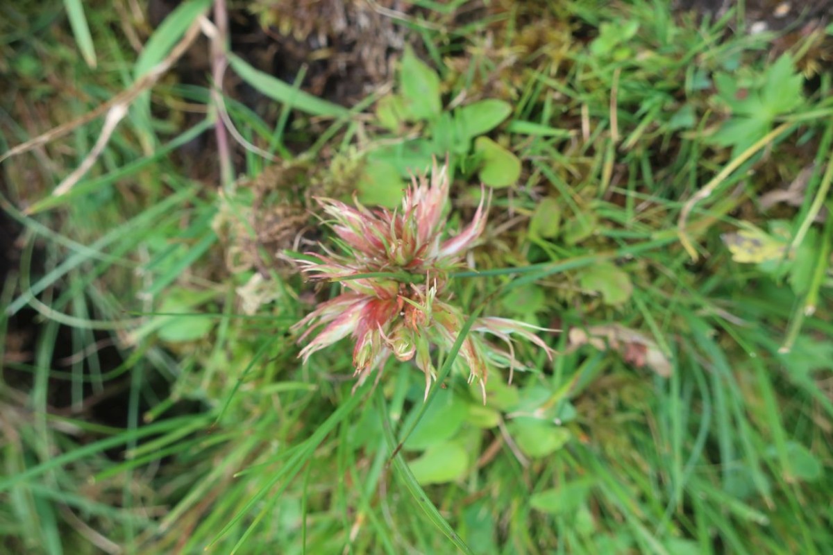 Salten_2024-09-03_2.jpg