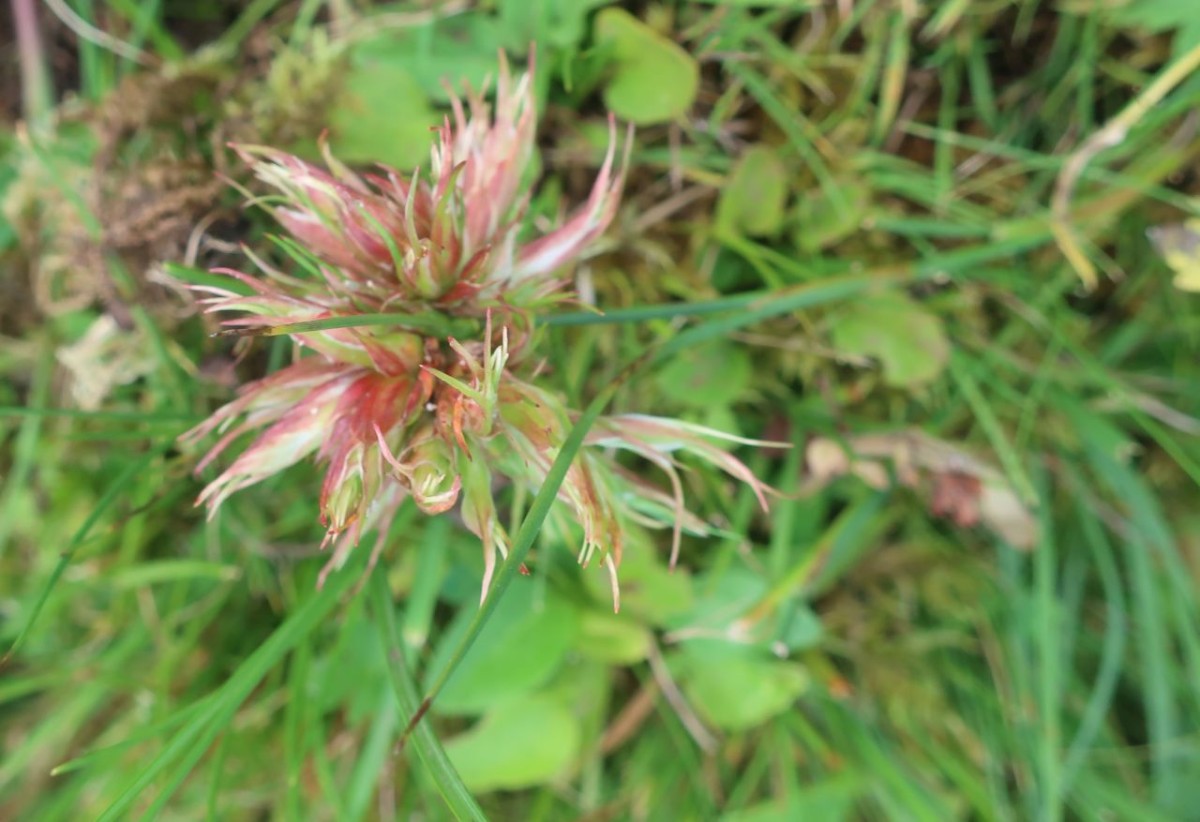 Salten_2024-09-03_3.jpg