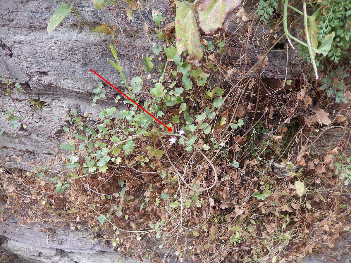 DSCN5872.JPG